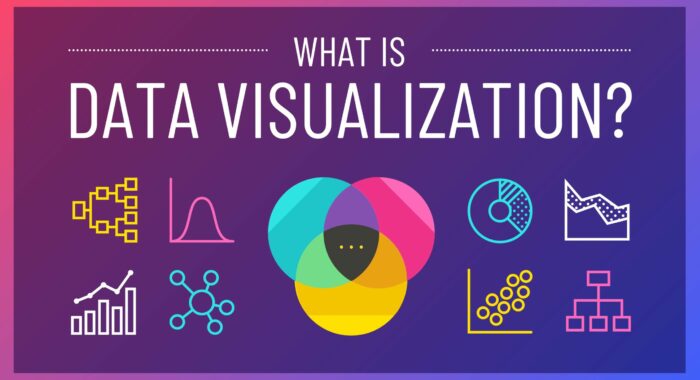 What-is-Data-Visualization-Blog-Header